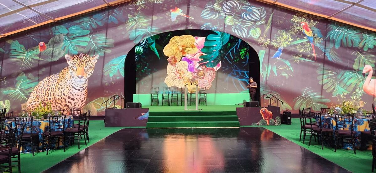 Colorful LED-lit stage backdrop
