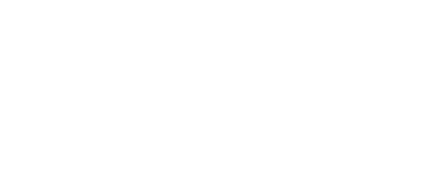 RISE Event Labor